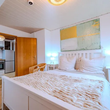 Daire Cozy Boho Near Zwickau-west With Wifi And Parking